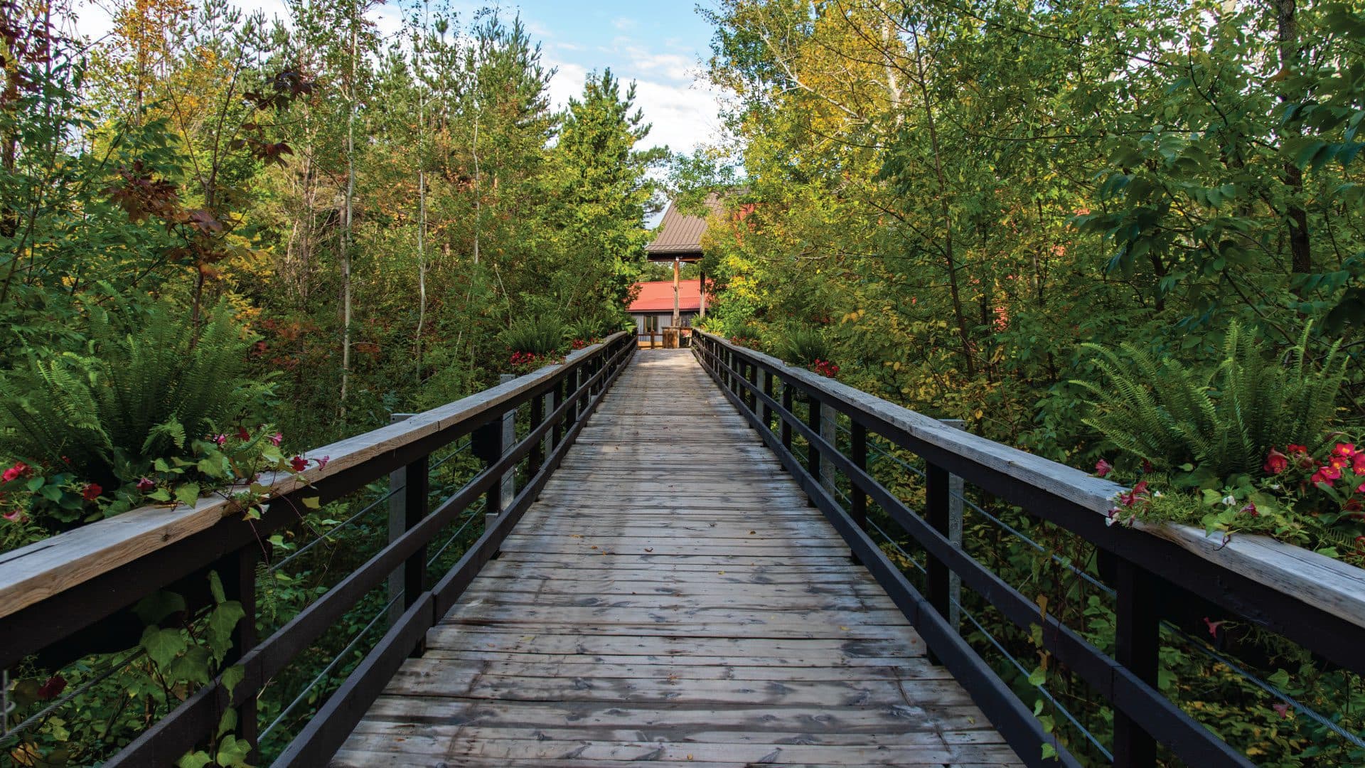 Road to Wellness - Chris Stoutenburg